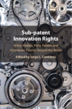 Capa do artigo Sub-Patent Innovation Rights