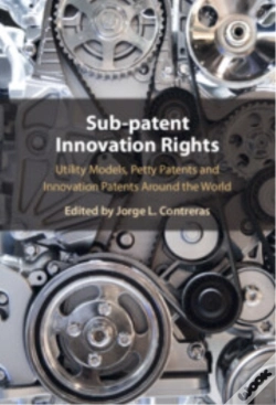 Capa do artigo Sub-Patent Innovation Rights
