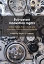 Sub-Patent Innovation Rights - Preview