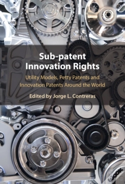Capa do artigo Sub-Patent Innovation Rights