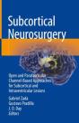 Subcortical Neurosurgery - Preview