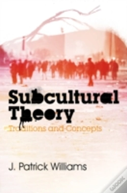 Capa do artigo Subcultural Theory