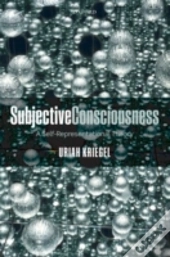 Subjective Consciousness