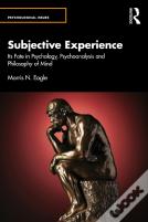Subjective Experience
