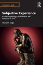Subjective Experience - Preview