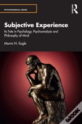 Subjective Experience