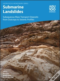 Capa do artigo Submarine Landslides