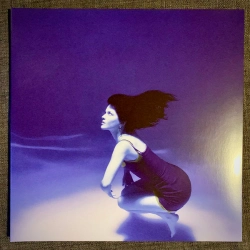 Capa do artigo Submarine - Vinil