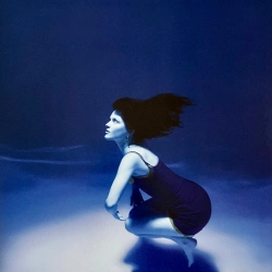 Capa do artigo Submarine - Vinil