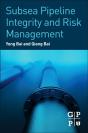 Subsea Pipeline Integrity And Risk Management - Preview