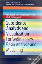 Subsidence Analysis And Visualization
