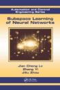 Subspace Learning Of Neural Networks - Preview