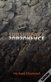 Capa do artigo Subsurface