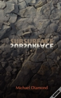 Capa do artigo Subsurface