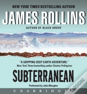 Capa do artigo Subterranean