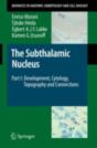 Subthalamic Nucleus - Preview