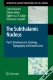 Subthalamic Nucleus