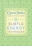 Subtle Energy Techniques