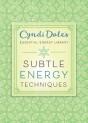 Subtle Energy Techniques - Preview