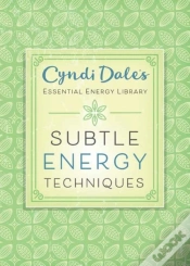 Capa do artigo Subtle Energy Techniques