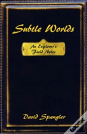 Capa do artigo Subtle Worlds: An Explorer