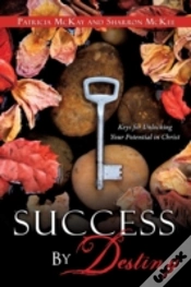 Capa do artigo Success By Destiny