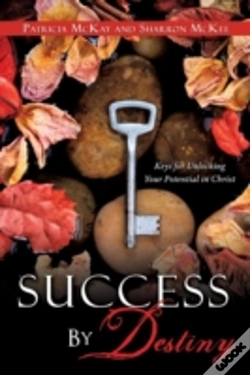 Capa do artigo Success By Destiny
