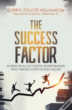 Capa do artigo Success Factor