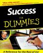 Success For Dummies - Preview