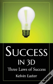 Success In 3d