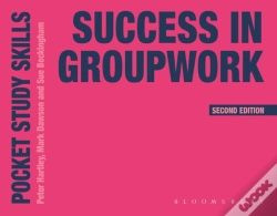 Capa do artigo Success In Groupwork