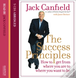 Capa do artigo Success Principles