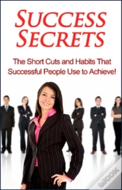 Capa do artigo Success Secrets