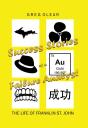 Success Stories Of A Failure Analyst - Preview