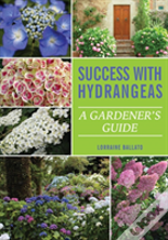 Success With Hydrangeas