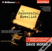 Capa do artigo Successful Novelist