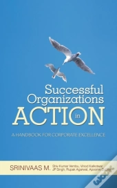 Successful Organizations In Action