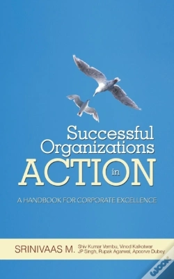 Capa do artigo Successful Organizations In Action