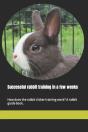 Successful Rabbit Training In A Few Weeks - Preview