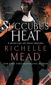 Capa do artigo Succubus Heat