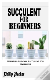 Succulent For Beginners