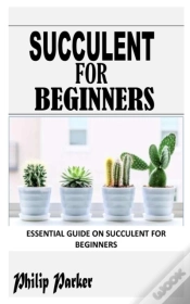 Capa do artigo Succulent For Beginners