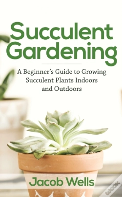 Capa do artigo Succulent Gardening: A Beginner'S Guide