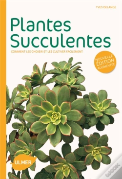 Capa do artigo Succulentes