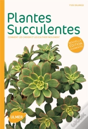 Capa do artigo Succulentes