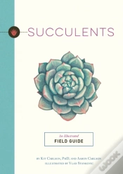 Capa do artigo Succulents