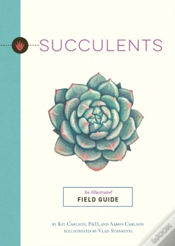 Capa do artigo Succulents