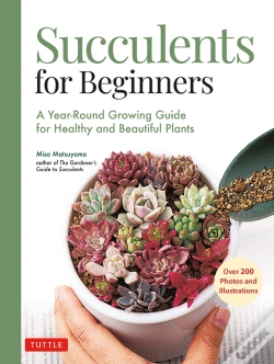 Capa do artigo Succulents For Beginners