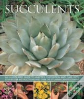 Capa do artigo Succulents