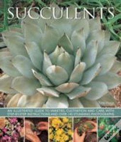 Capa do artigo Succulents